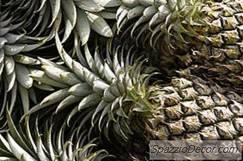 Quali Frutti Contengono Papaina O Bromelina?