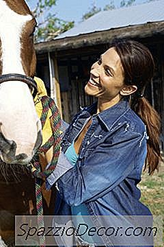 Hva Er En Hestemasses Gjennomsnittslønn?