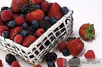 Welche Früchte Eignen Sich Für Raufutter?