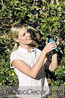 La Maggior Parte Degli Americani È Impiegata Nel Settore Primario?