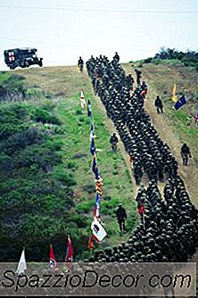 Regolamenti Per La Guardia Nazionale Dell'Esercito
