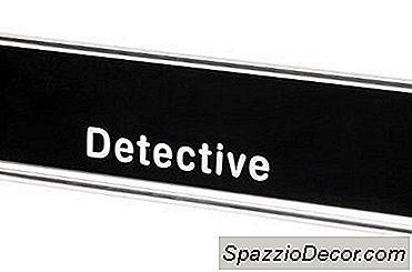 Het Gemiddelde Inkomen Van Een Detective