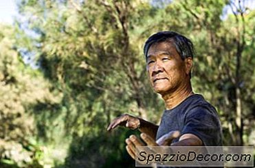Técnicas Básicas De Treinamento Em Kung-Fu