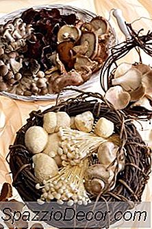 Os Benefícios Dos Cogumelos Nos Alimentos