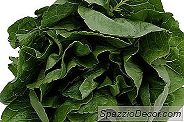 Beneficios De La Vitamina B-6 En Los Nervios