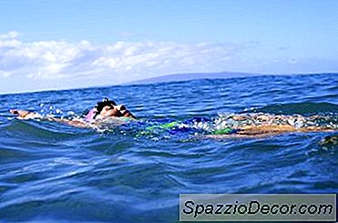 Os Melhores Triatlos Para Iniciantes Para Mulheres