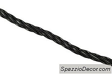 Siyah Meyan Kökü Takviyeleri