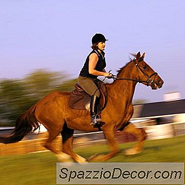 Exercícios De Panturrilha E Alongamentos Para Equitação