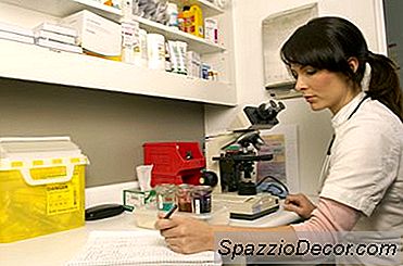 A Career As A Bacteriologist