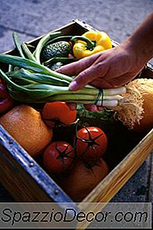 Frutas Y Verduras Comunes Con Alto Contenido De Fibra Y Carbohidratos