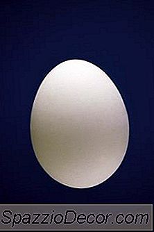 Proteiinien Digestion Oikea Sekvenssi