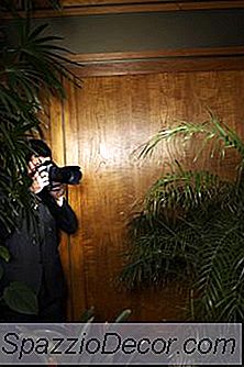 Criminal Investigator Tools