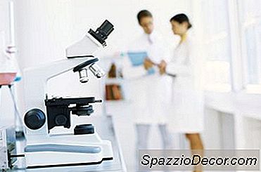 साइटोकोलॉजिस्ट प्रमाणीकरण