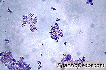 एक दिन में एक वायरोलॉजिस्ट के जीवन में