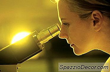 Diferença Entre Tecnólogo Citogenético E Citotécnico