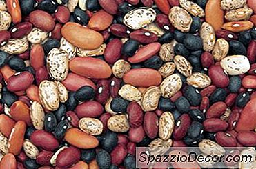 Gör Bönor Lägre Kolesterol?