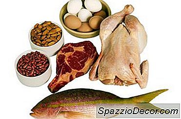 O Corpo Precisa De Proteína Para Queimar Gordura?
