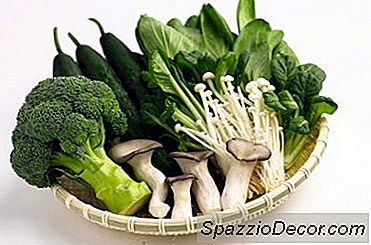 A Fibra Lhe Dá Gás?