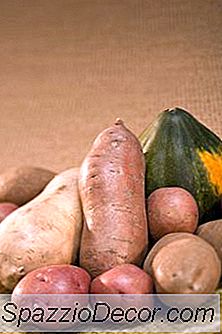 小腸で起こる澱粉の酵素消化