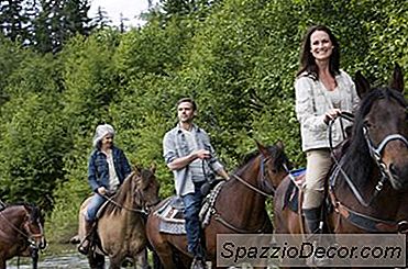 Exerciții Pentru A Vă Ajuta Să Vă Montați Calul