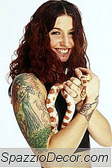 Exotic Animal Trainer Job Description