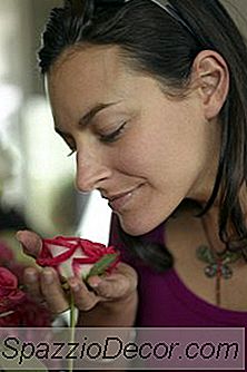 Floristen-Zertifizierung