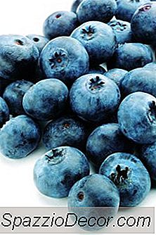 Alimento Para Um Cérebro Coberto De Urzes