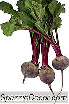 Alimentos Contendo Betaína