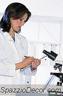 Quatre Qualités Requises Chez Un Scientifique