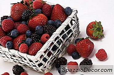 Fruktose &Amp; Leberstoffwechsel