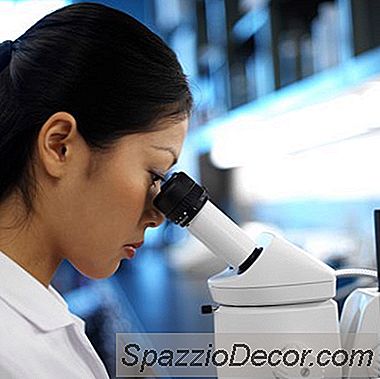 Cómo Ser Un Técnico De Laboratorio Biológico