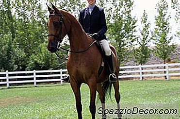 Sådan Gør Du Balimo-Øvelser