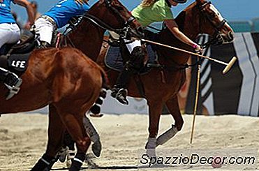 Comment Saisir Un Maillet De Polo