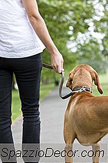 Como Fortalecer As Pernas E Quadris Para Andar