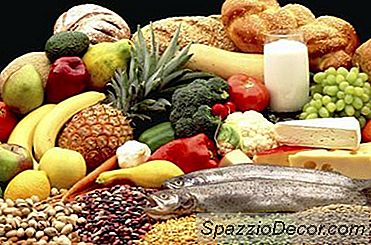 Importanța Grăsimilor, Carbohidraților Și Proteinei