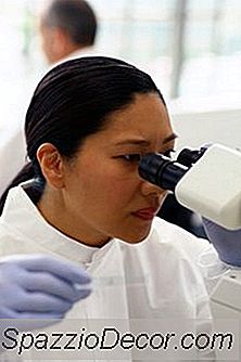 Trabajos Que Involucran La Química