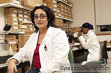 Moleküler Genetikte Usta Olanlar