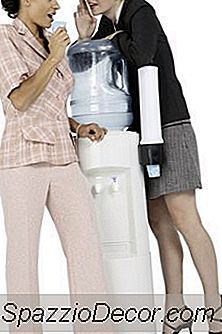 Arten Von Cliquen Am Arbeitsplatz