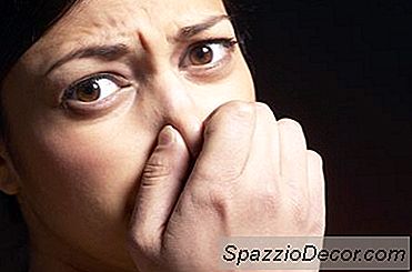 Elenco Di Strani Lavori