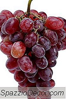 Os Principais Alimentos Saudáveis ​​Para O Coração