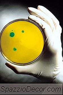 Mikrobiologi Työpaikat