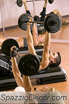 Tempo De Recuperação De Fibra Muscular Após Exercícios