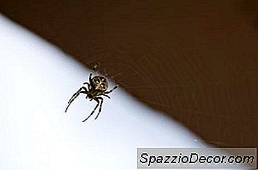 Mon Lieu De Travail A Des Bugs