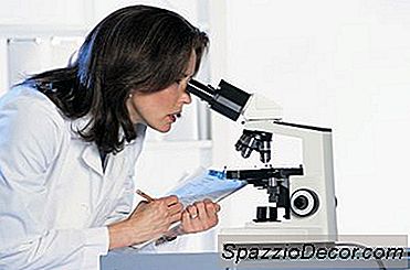 Nöropatoloji İş Tanımı