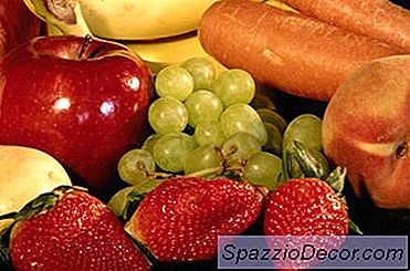 Nutrition Basics För Bättre Hälsa Och Prestanda