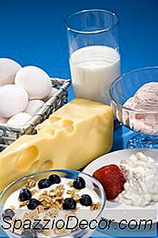 Fatores De Risco Nutrição De Uma Dieta Vegetariana Lacto-Ovo Adulta