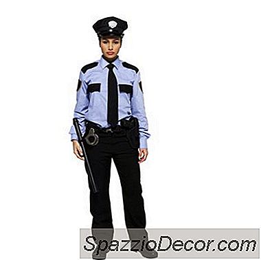 Politietræningsteorier Og Praksis