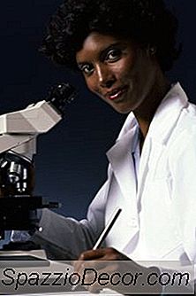 Principal Investigator Duties