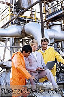 Ingeniero Profesional Certificación Pe