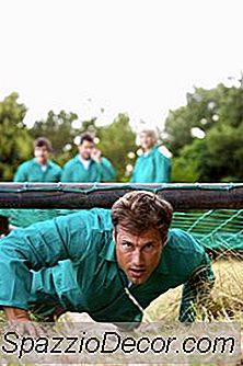 Exercícios Quadrupedal